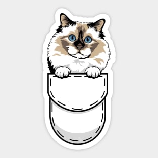 Funny Birman Pocket Cat Sticker